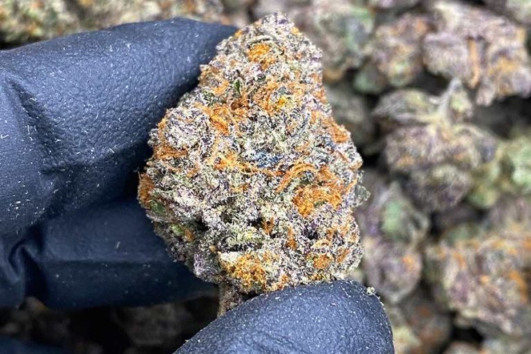 Smart Ways to Purchase THCA Flower From Online Stores