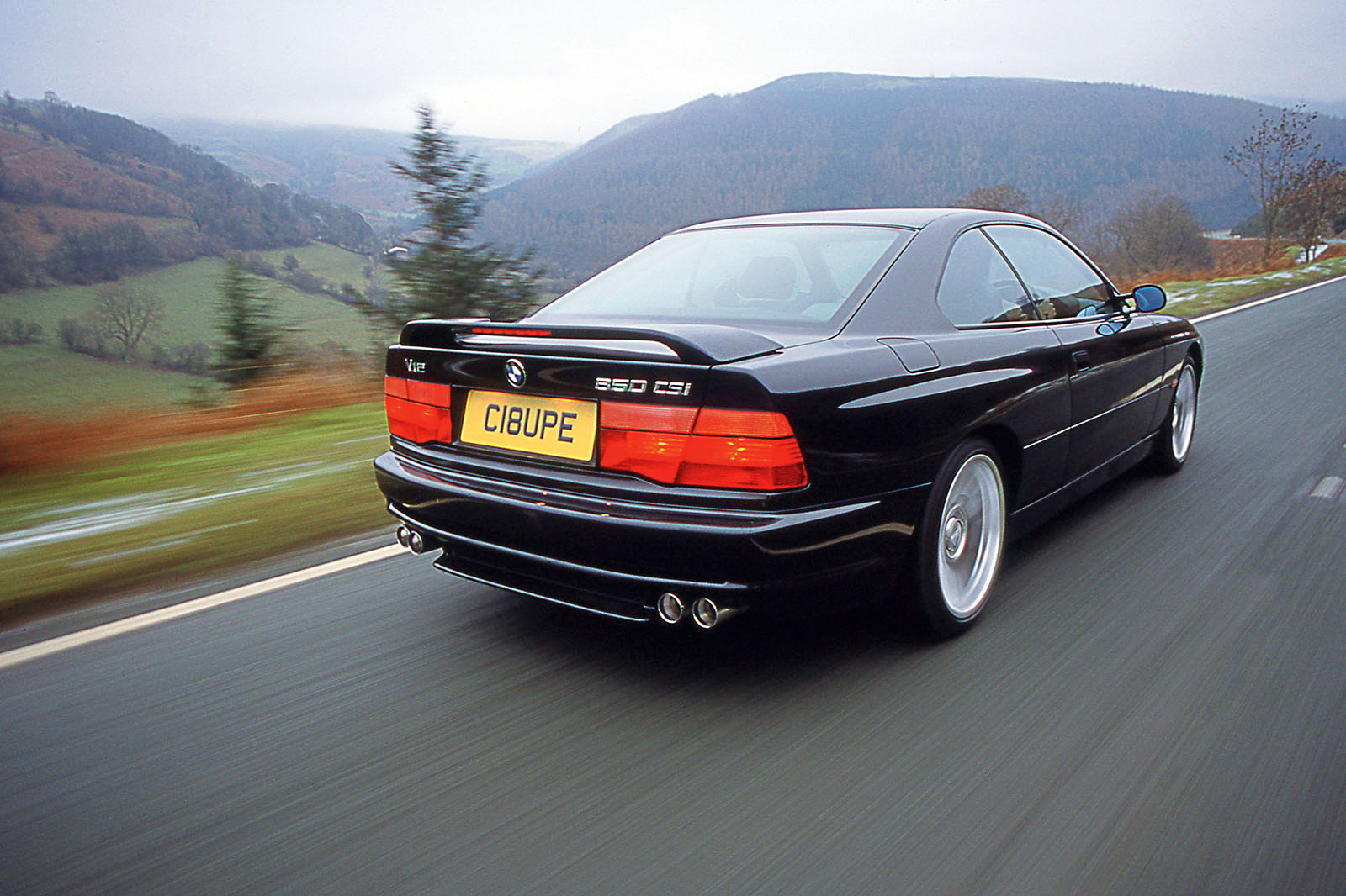 BMW 8 Series (1990-1999)