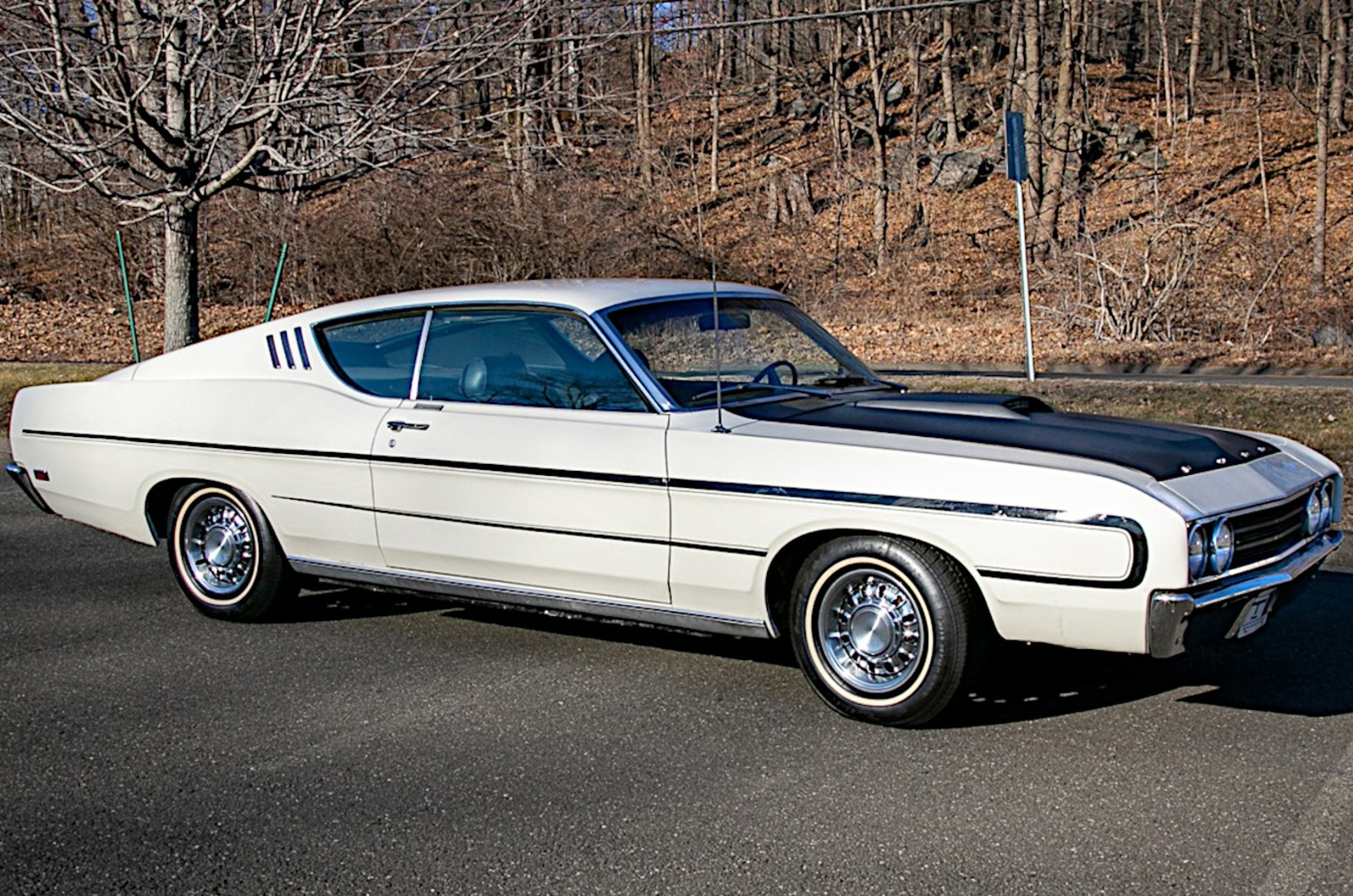 Mercury Cyclone Spoiler II