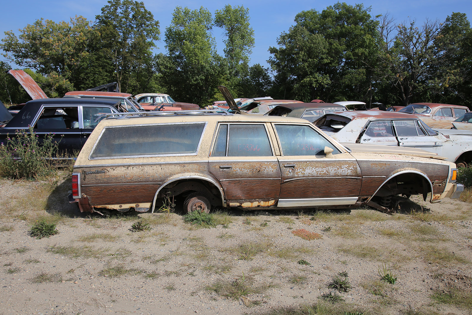 CHEVROLET CAPRICE ESTATE - 1978
