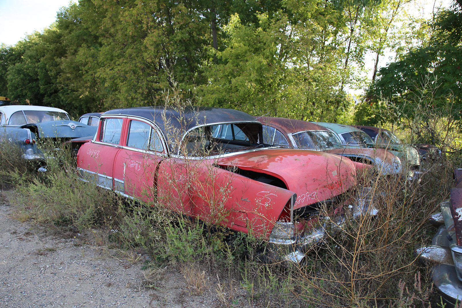 PACKARD PATRICIAN - 1955