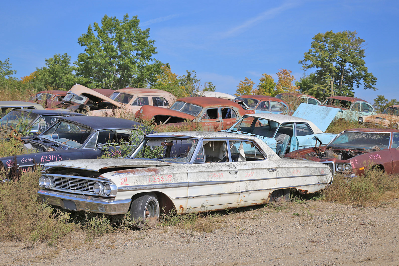 FORD GALAXIE 500 - 1964