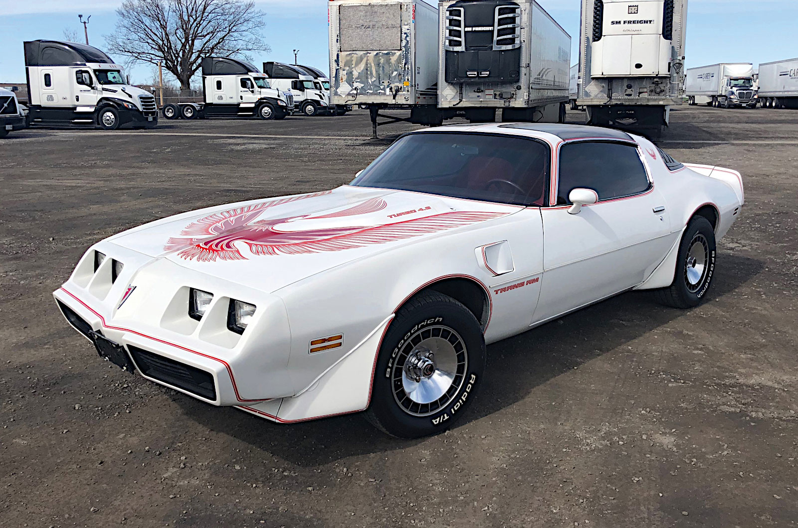 Pontiac 301 Turbo (1980)