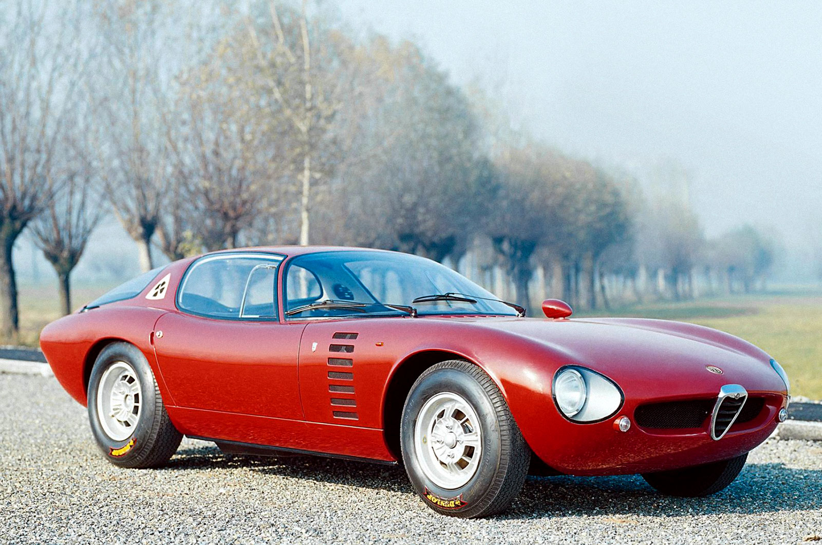 Alfa Romeo Canguro (1964)
