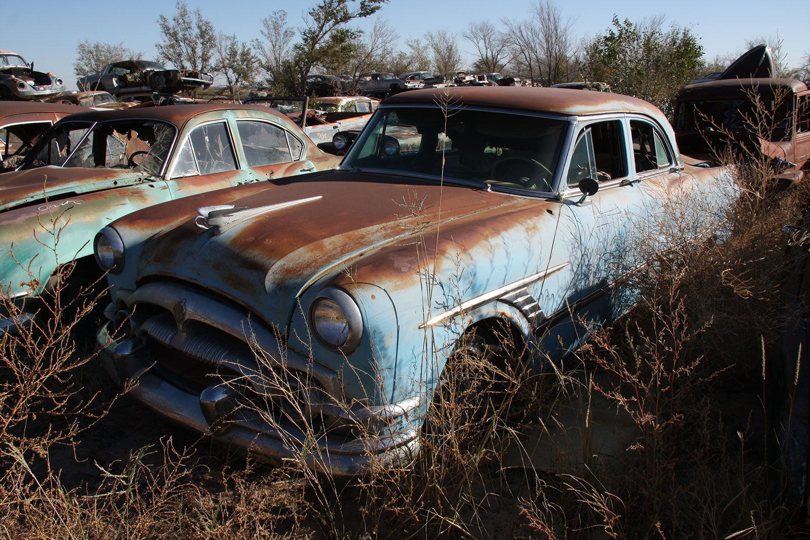 Packard Cavalier 1953