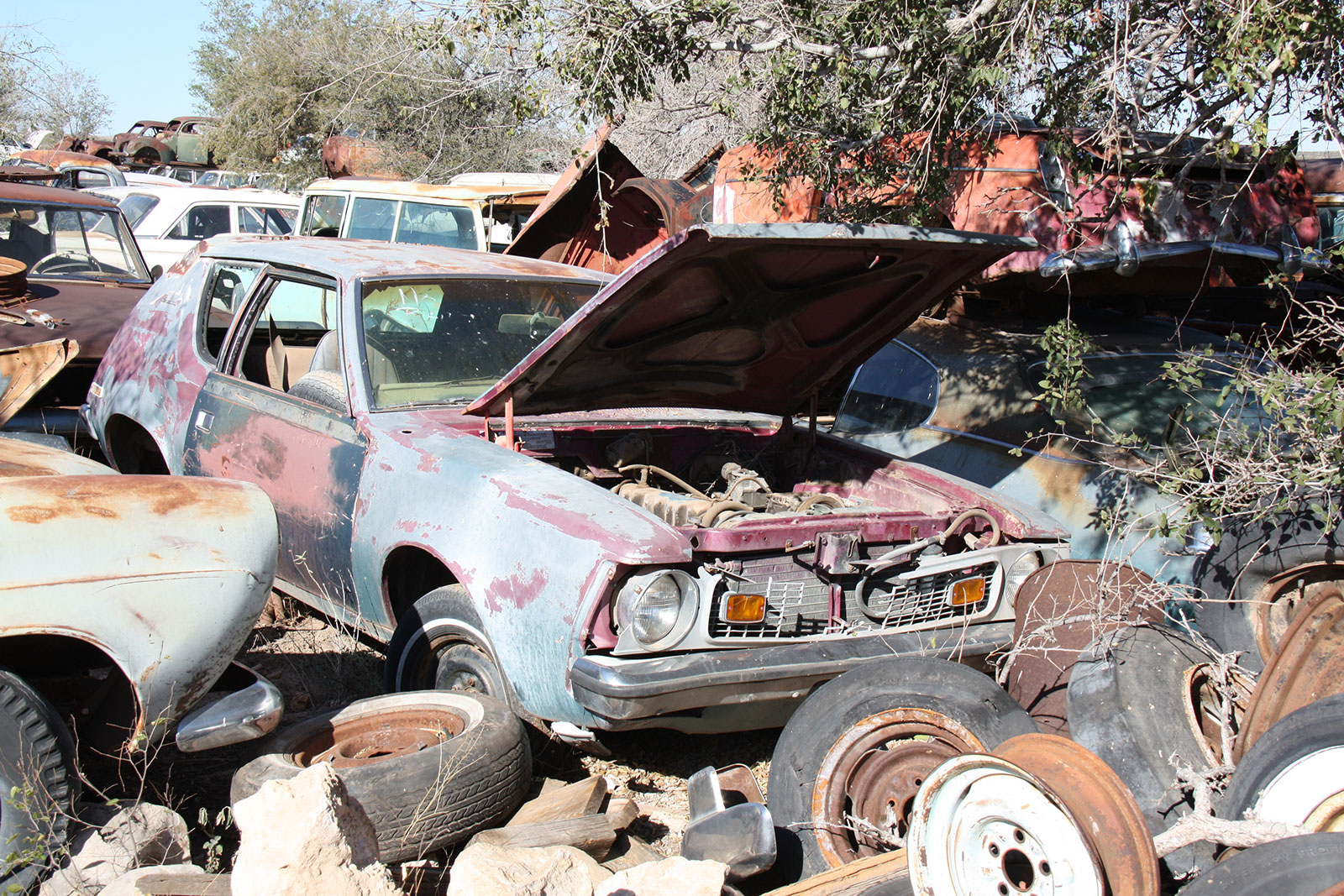 AMC Gremlin