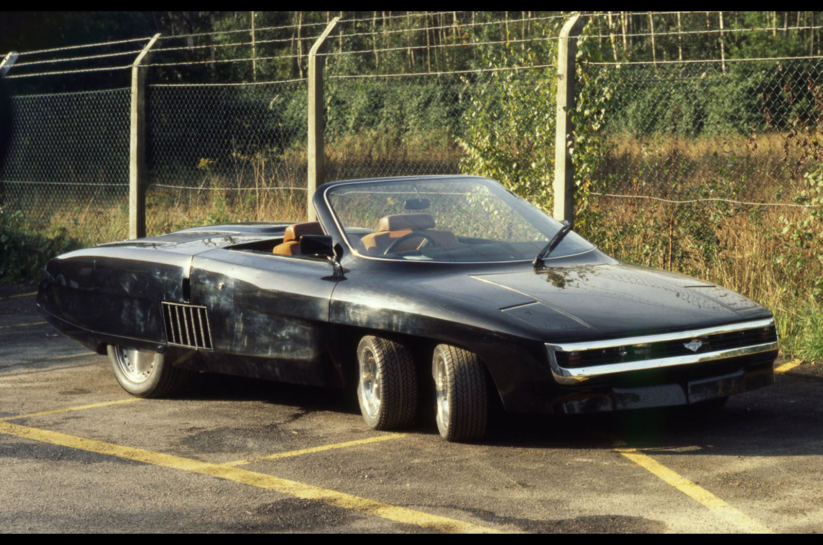 Panther