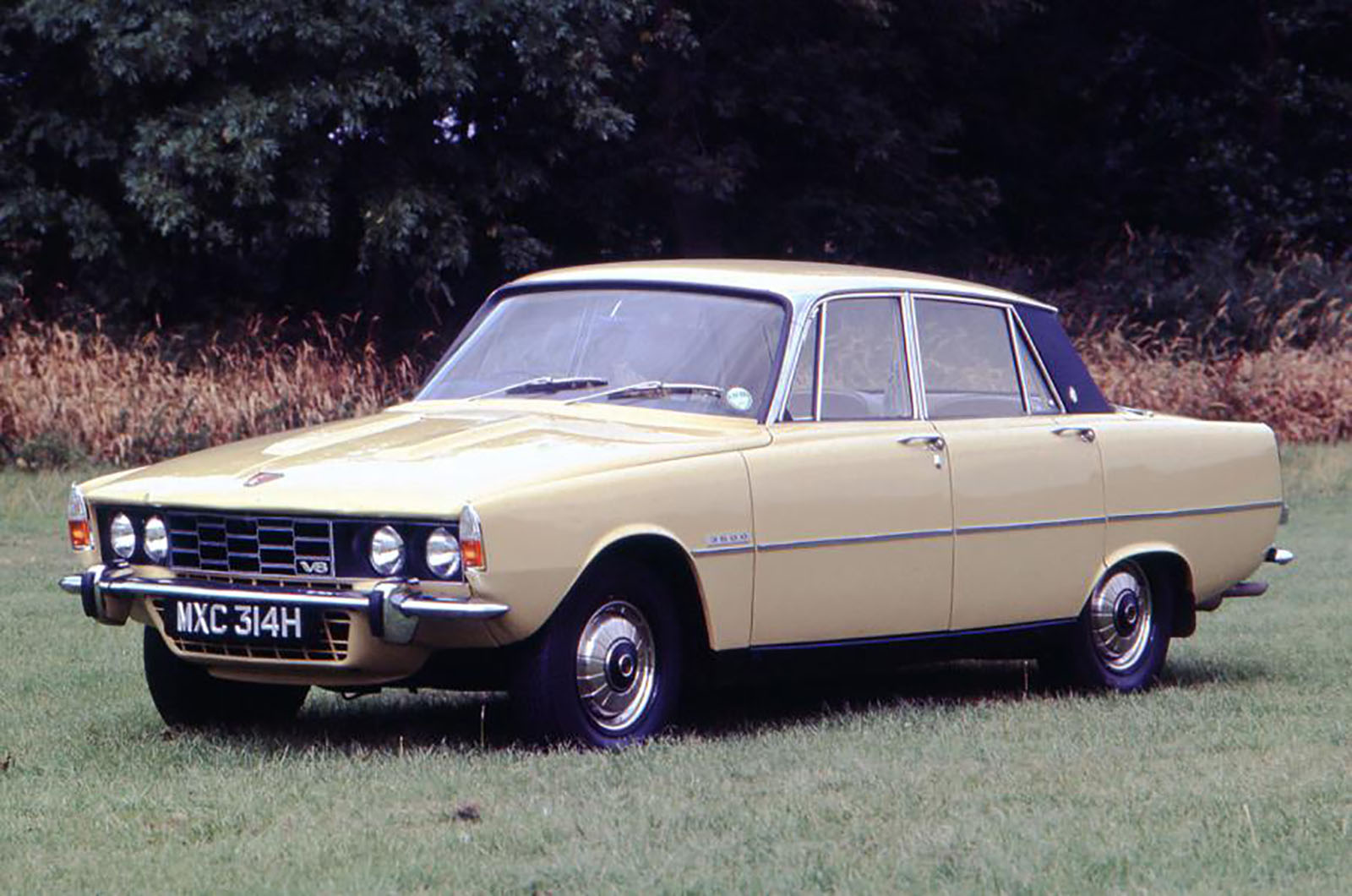 Rover