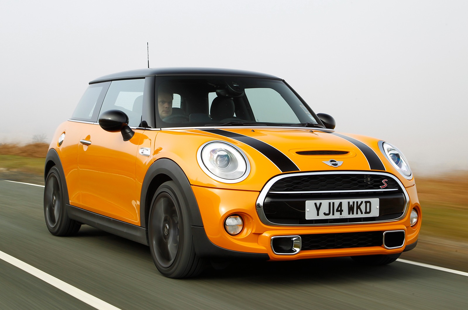 Mini – 96.4%
