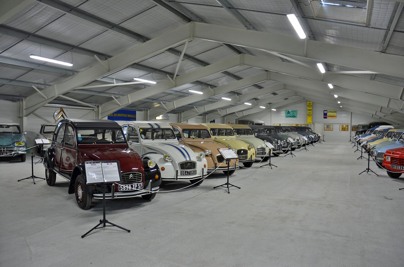 The 2CV’s family tree