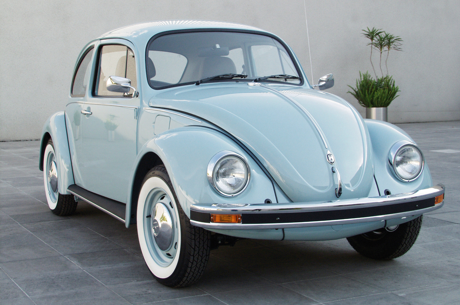 1938-2003 (65 years)