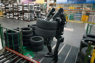 Calvin the robot 024