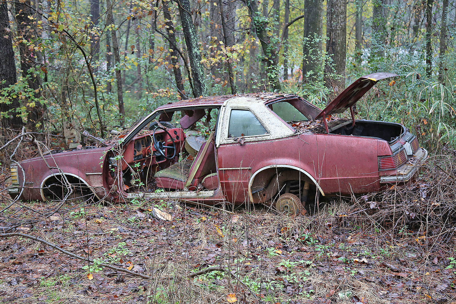 PONTIAC LE MANS - 1979