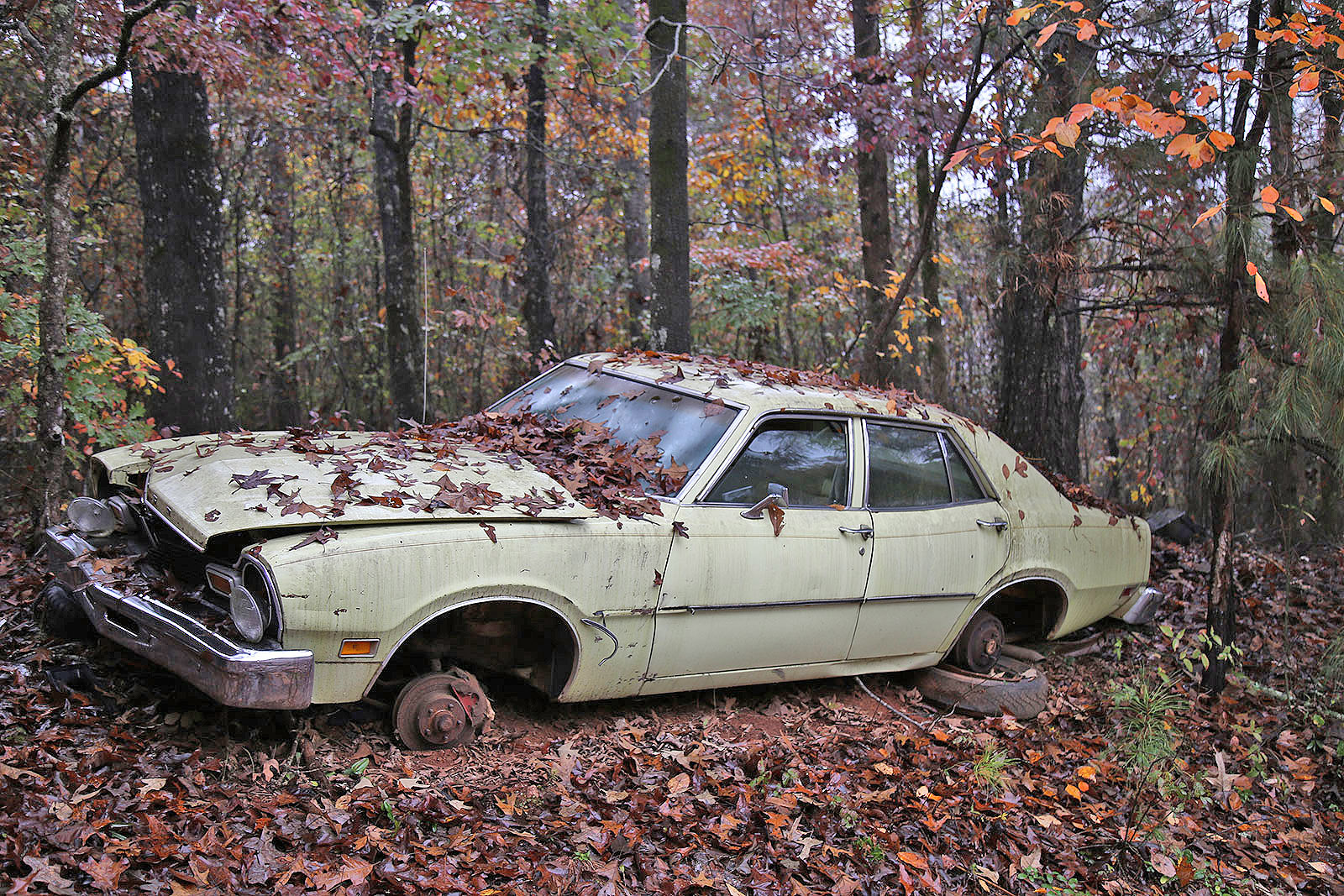 FORD MAVERICK