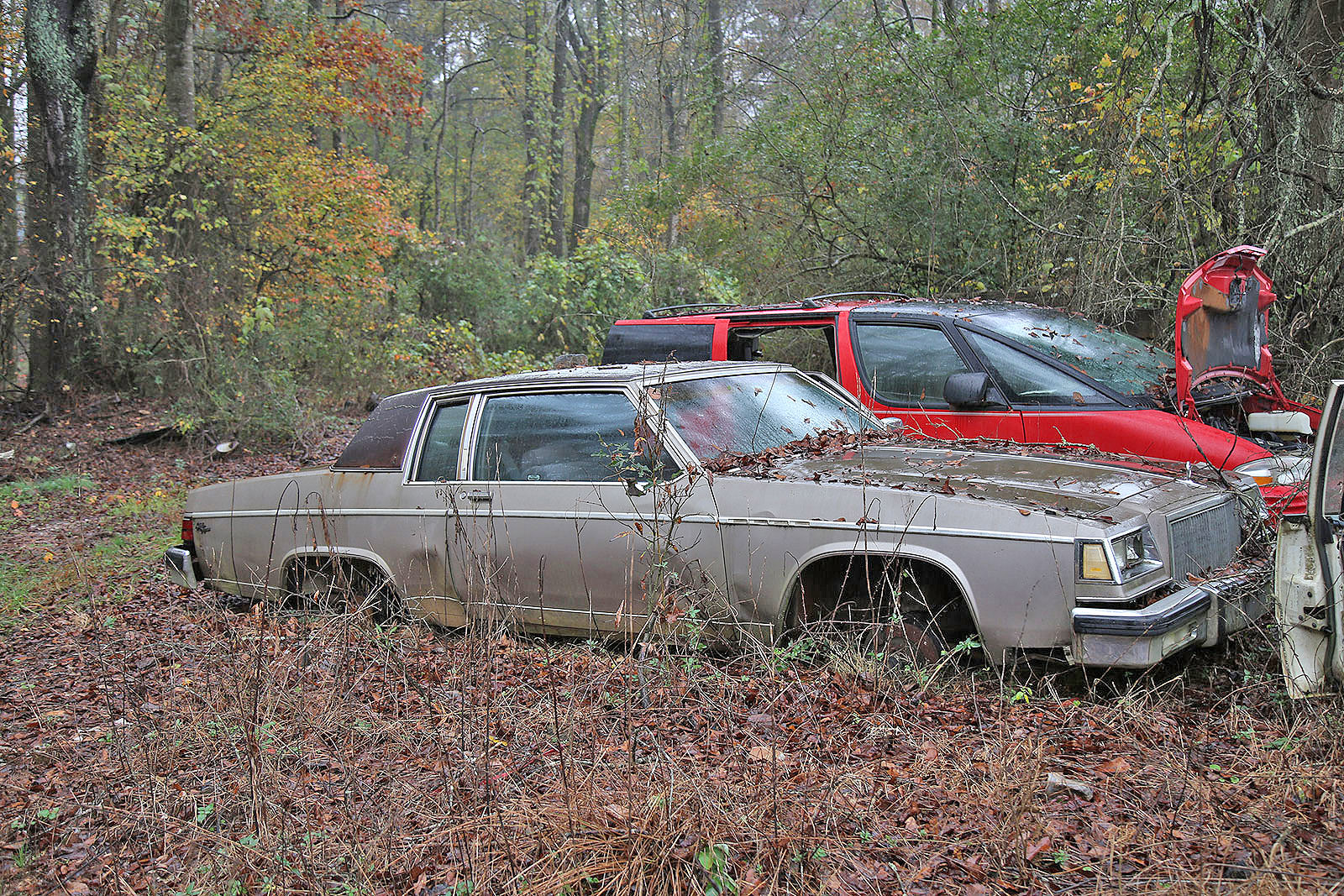 BUICK ELECTRA PARK AVENUE - 1982