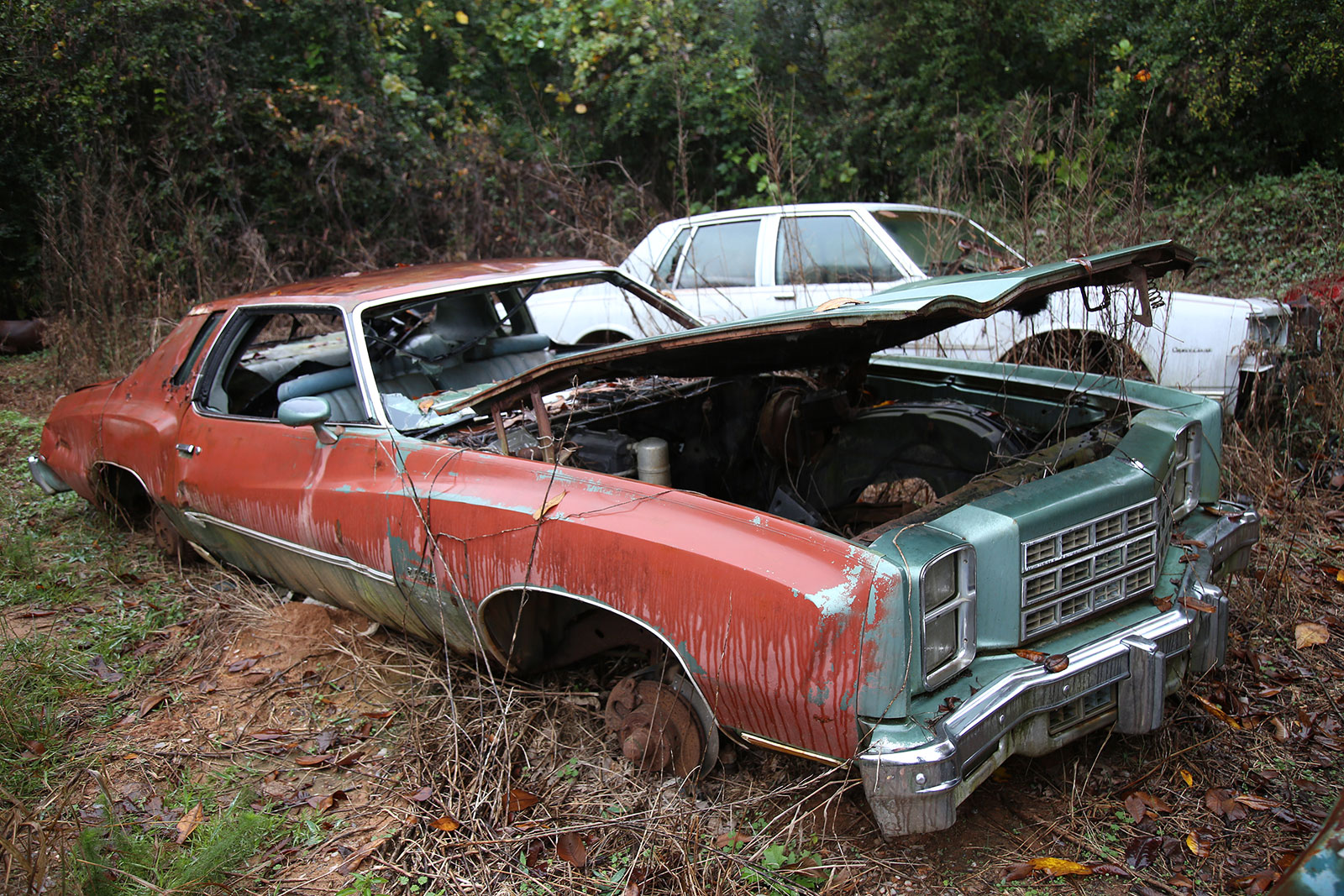 CHEVROLET MONTE CARLO - 1977