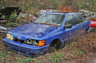 Auburn, Georgia is home to Collins Auto Salvage, a yard with close to 1000 cars.