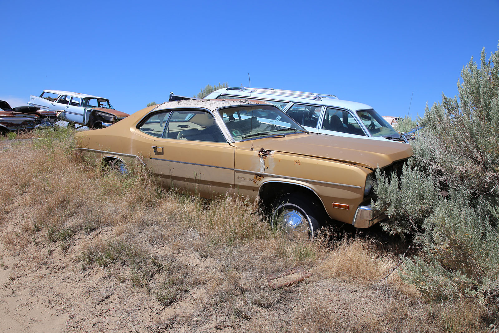 Plymouth Gold Duster
