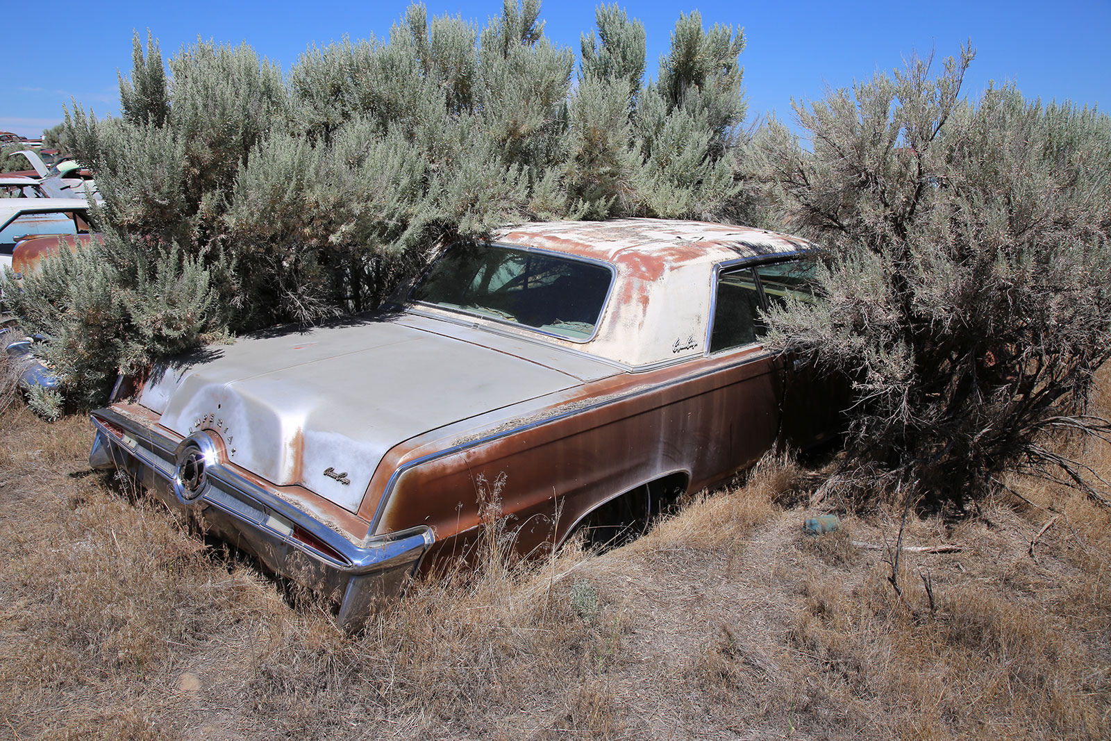 Imperial Crown Coupe 1965