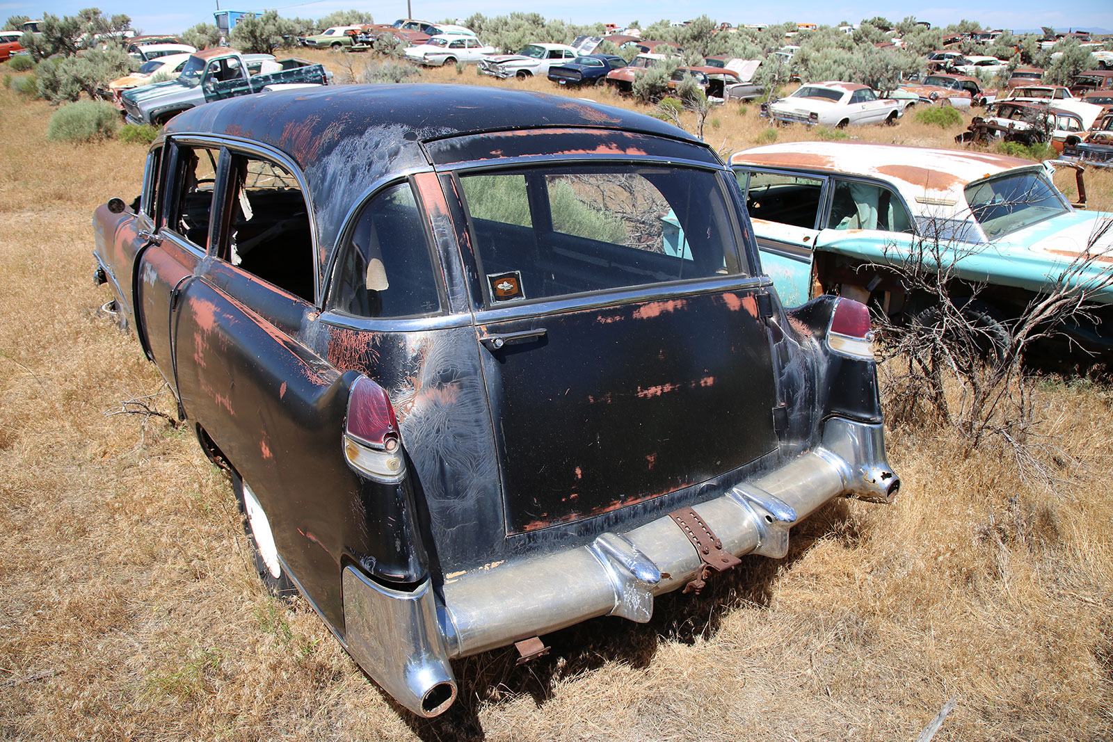 Cadillac hearse 1954