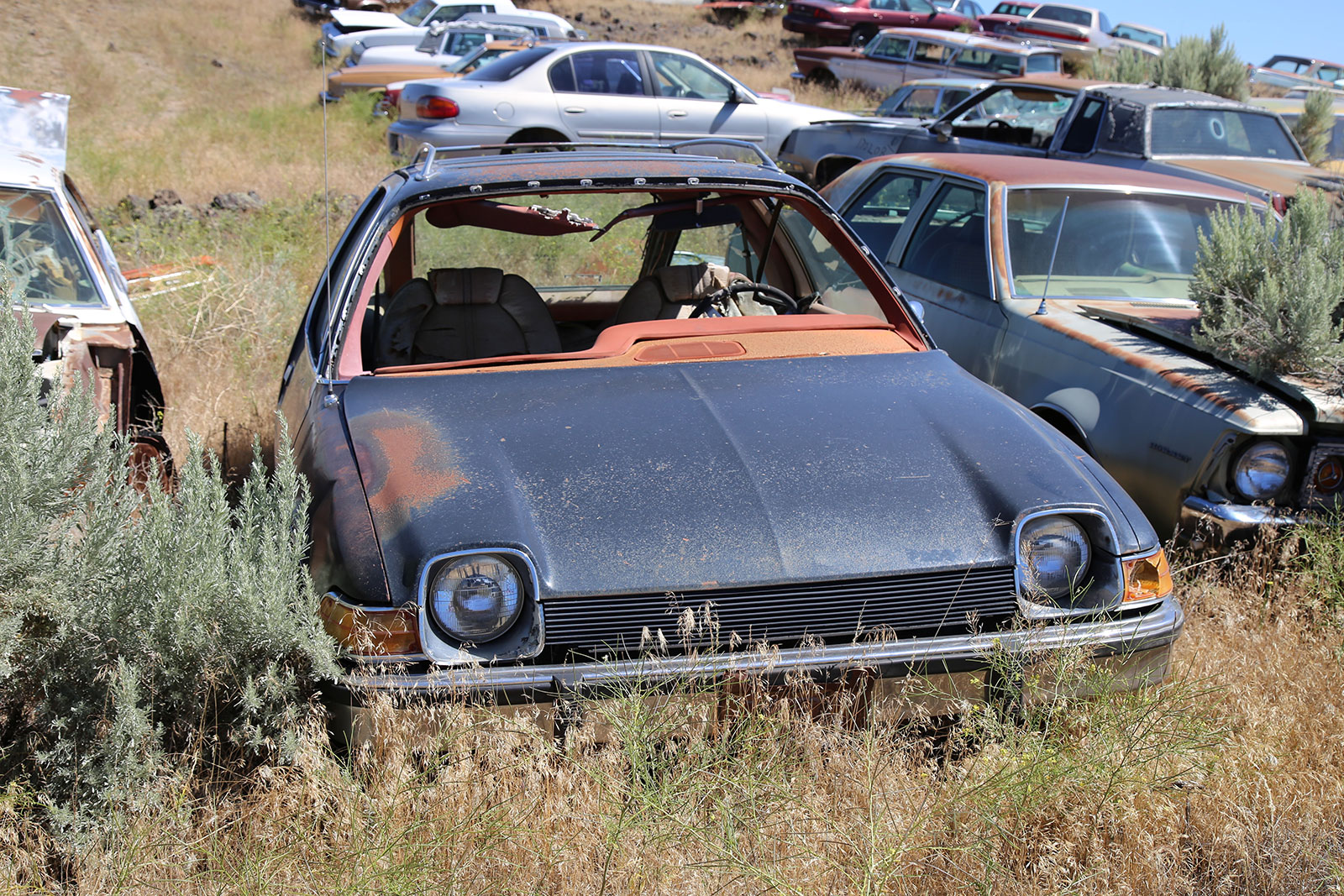 AMC Pacer 1979