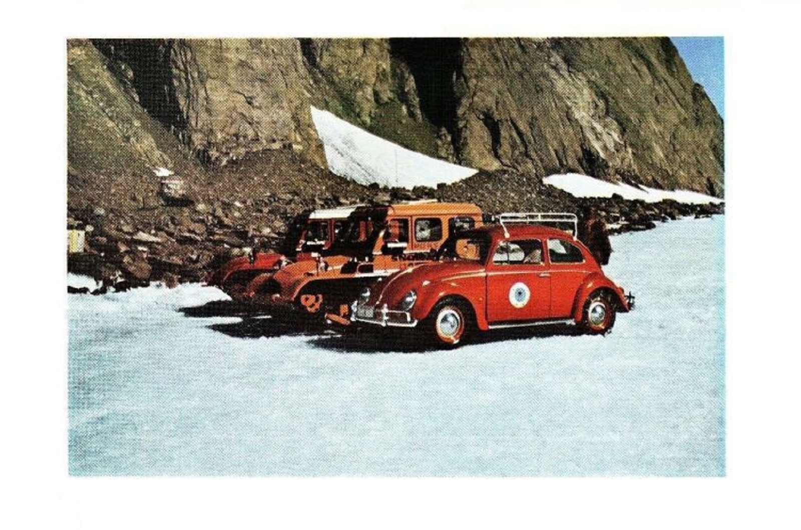 The Beetle in Antarctica (1963)
