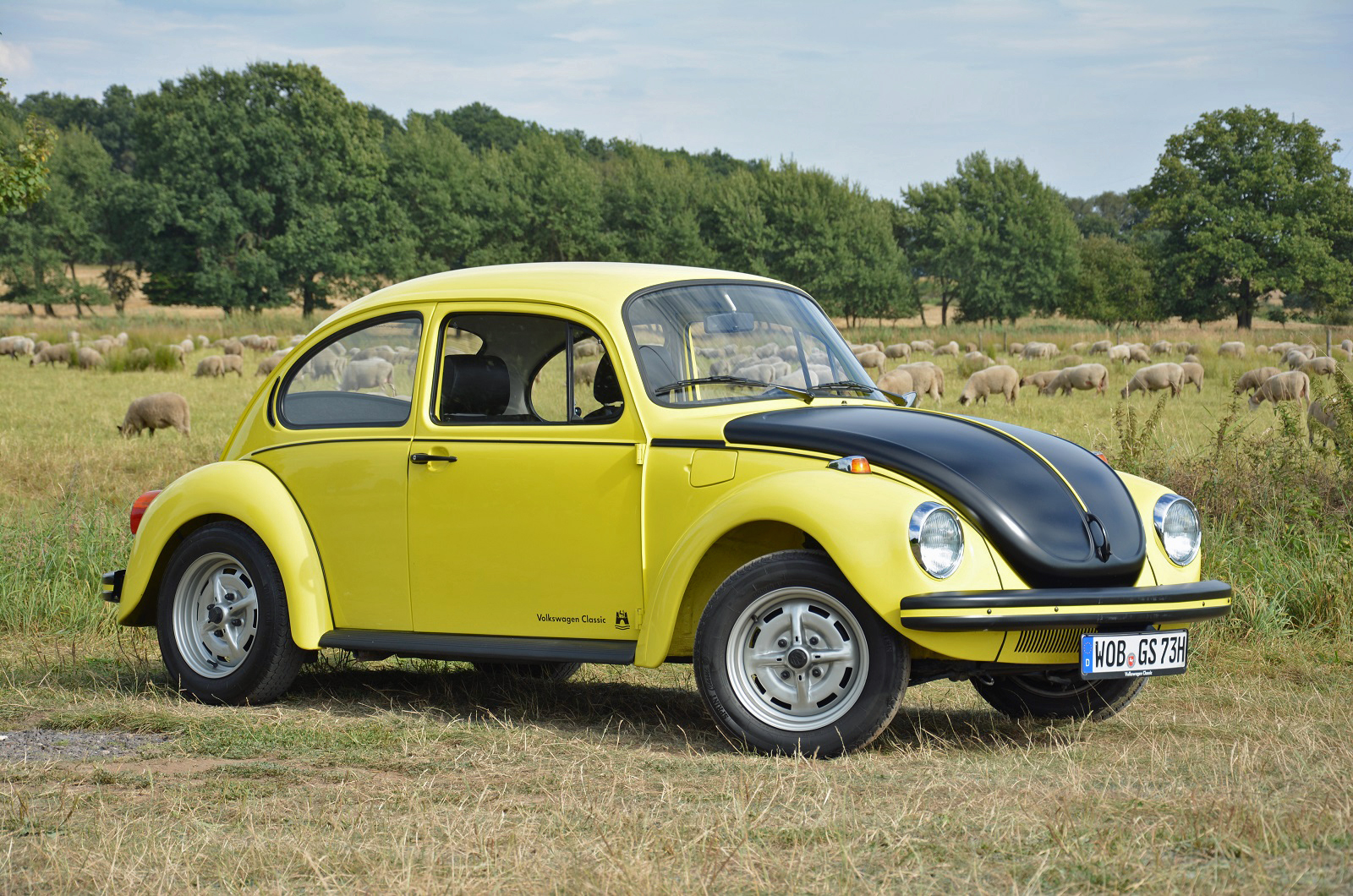 Yellow black racer (1972)