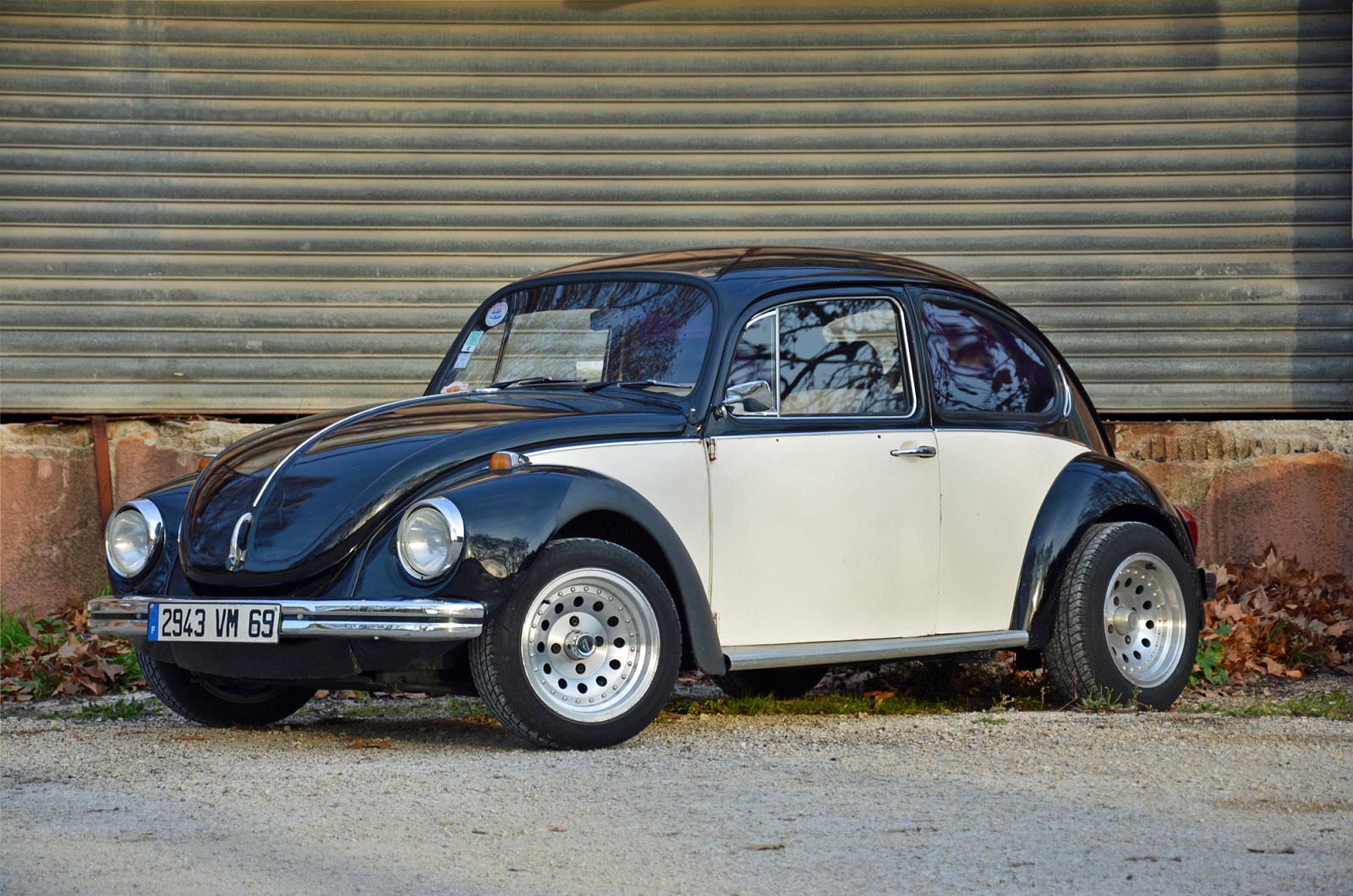 The Beetle today