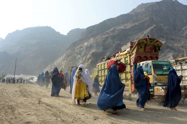 afghans