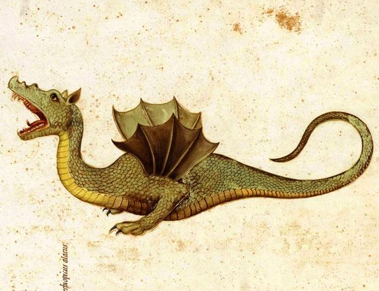 dragon