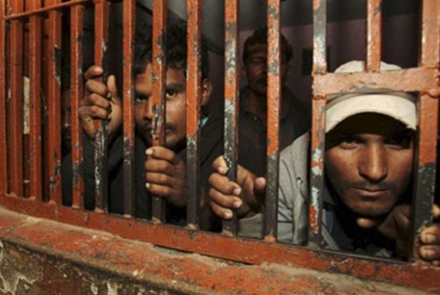 Indian criminals to undergo'cow therapy' cow therapy