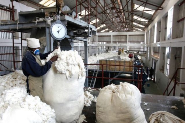 Government policies failing cotton industry cotton industry