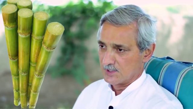 SC resolves cane growers dilemma, Tareen will buy the produce Tareen
