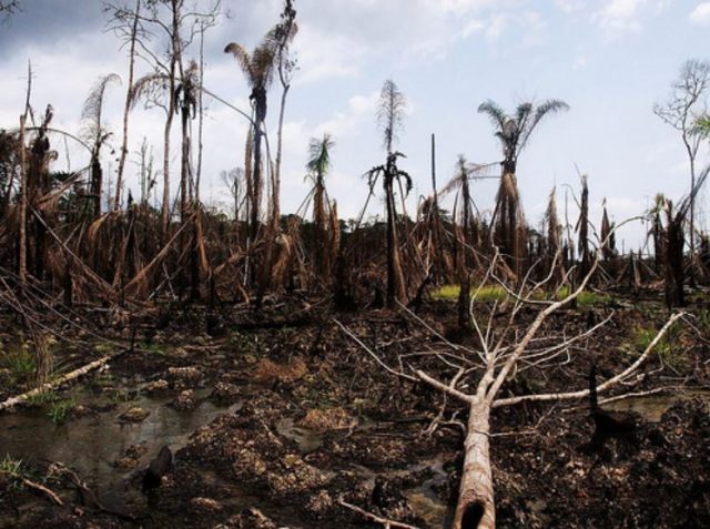 CPEC: An environmental disaster environmental