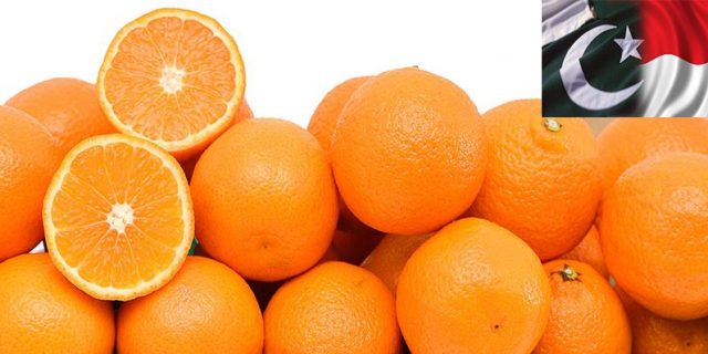 Indonesia allows unlimited kinnow import from Pakistan kinnow