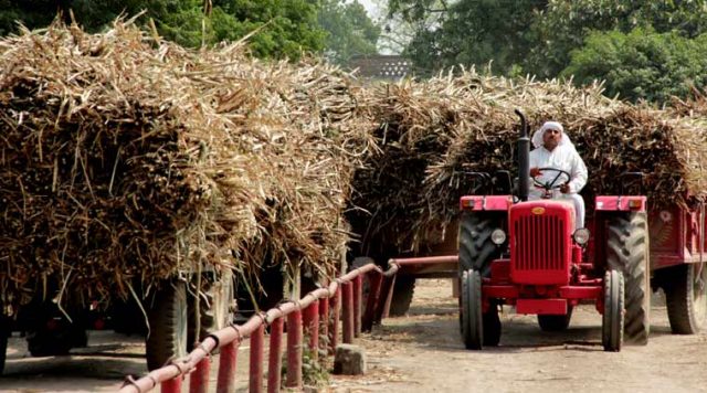 Government finally addresses woes of sugar cane farmers addresses