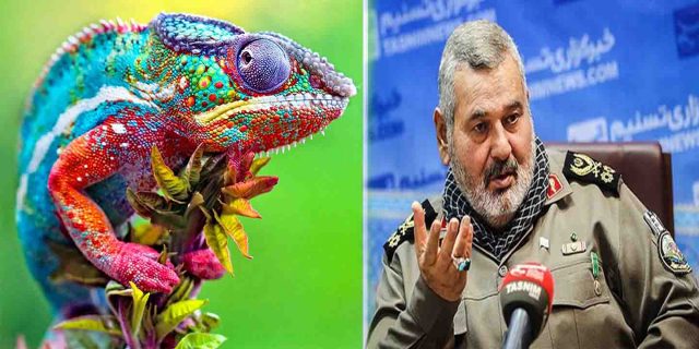 Iran military official: West used lizards for nuclear spying lizards