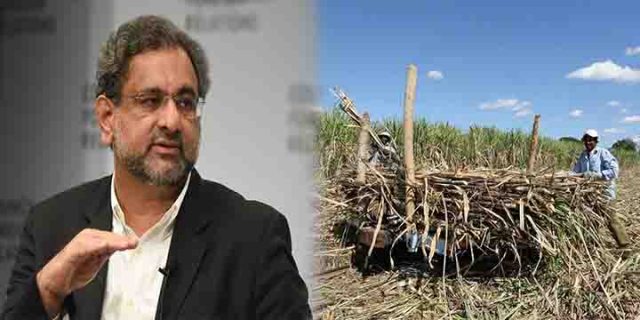 PM Abbasi finally takes notice of sugarcane farmer fiasco sugarcane