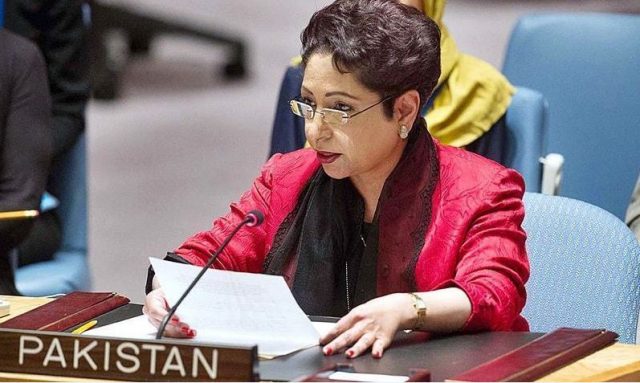 More UNSC permanent members is unfair: Maleeha Lodhi permanent