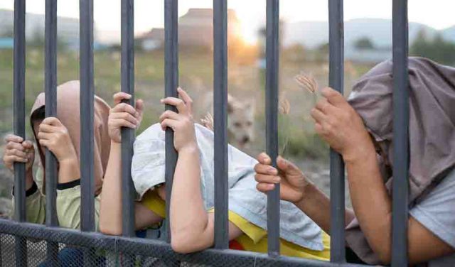 FIA formulating millions rupee action plan to curb Human smuggling in Pakistan FIA