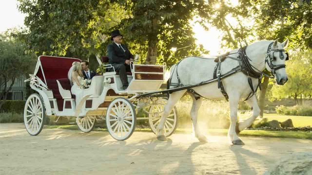 Prince Harry, Meghan pick carriage for wedding procession procession