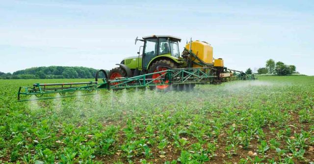 Fertilizer company posts losses as govt reviews pricing mechanisms Fertilizer company