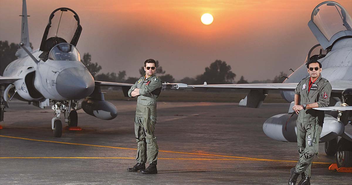 Sherdil nosedives to a crash sherdil