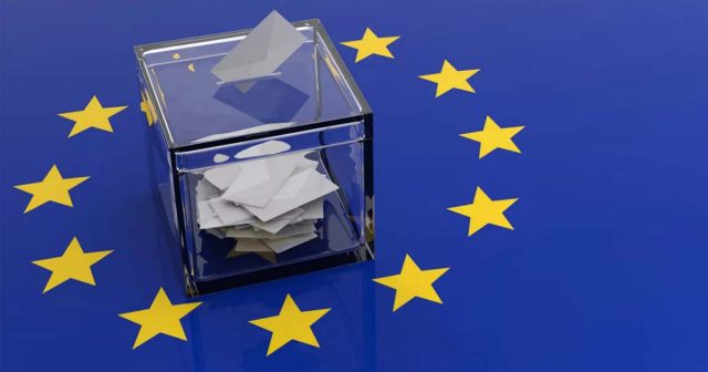 European elections guide Whats actually on the ballot paper elections