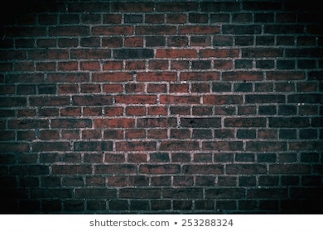 brics-and-walls