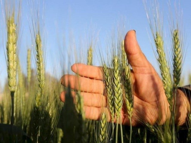 can-pakistan-capitalize-on-100-billion-chinese-agricultural-sector