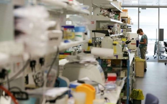china-orders-probe-into-scientist-claims-of-first-gene-edited-babies