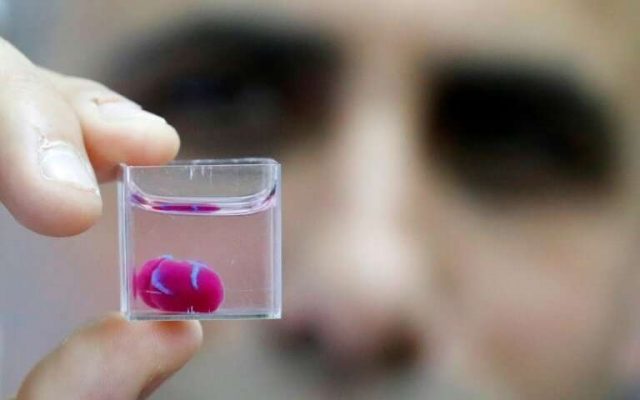 first-3d-print-of-heart-with-human-tissue-vessels-unveiled