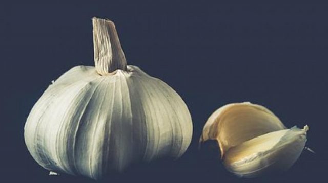 garlic-prevents-and-fights-various-diseases