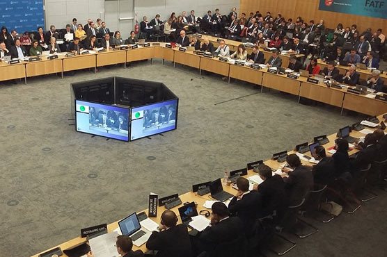 government-deliberately-ignored-the-brewing-fatf-imbroglio